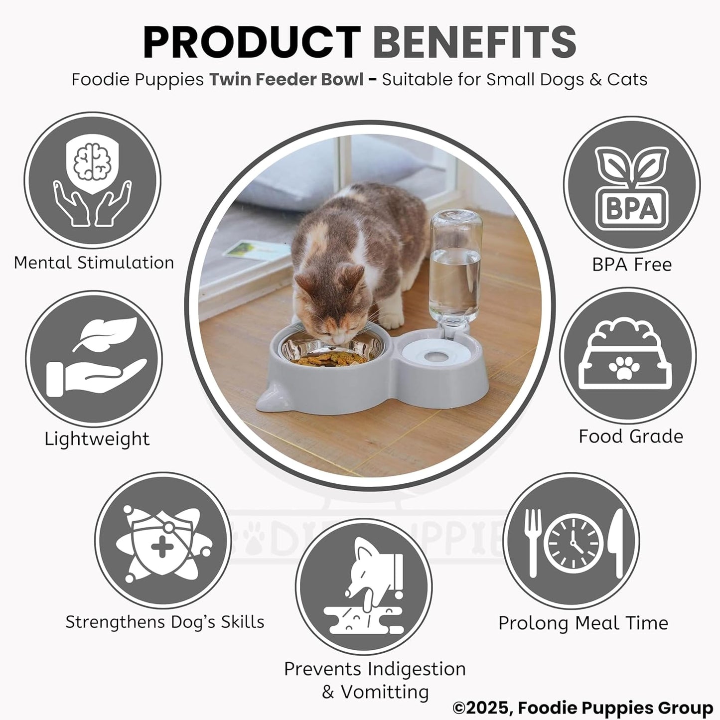 2 in 1 Automatic cat Feeder