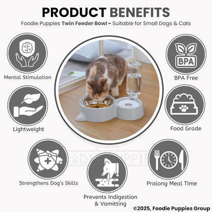 2 in 1 Automatic cat Feeder