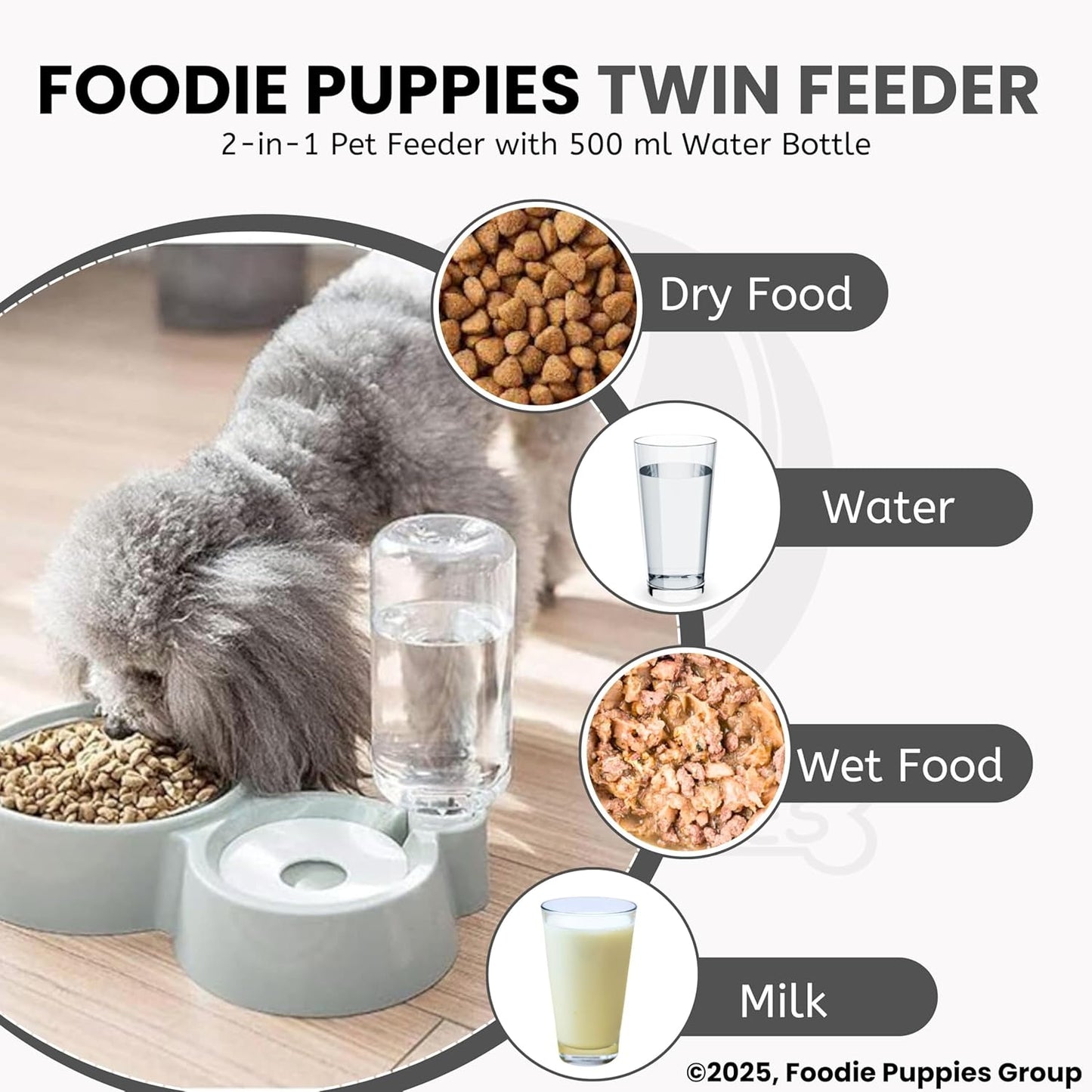 2 in 1 Automatic cat Feeder