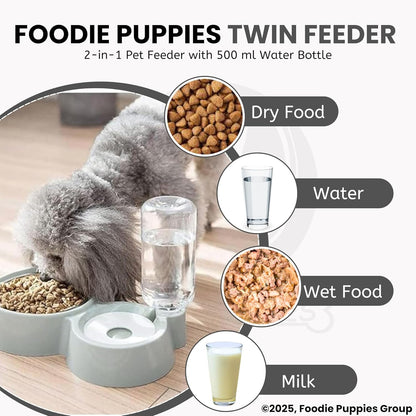 2 in 1 Automatic cat Feeder