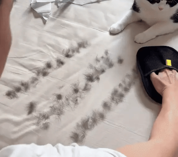 Pet hairs Remover Gloves for Cat&Dogs